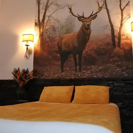 カントリーハウス Casa Da Eira